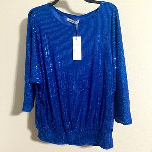 Sequin Sweater (Large)